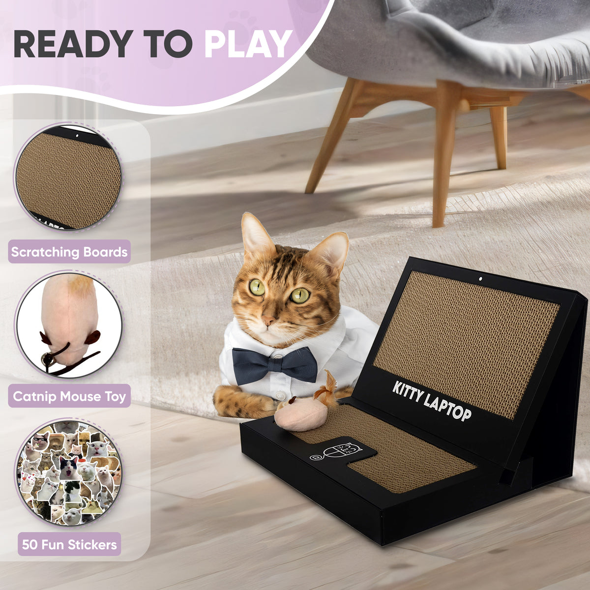 Cat Computer Accessory Kitty Laptop - A Laptop for Your Cat